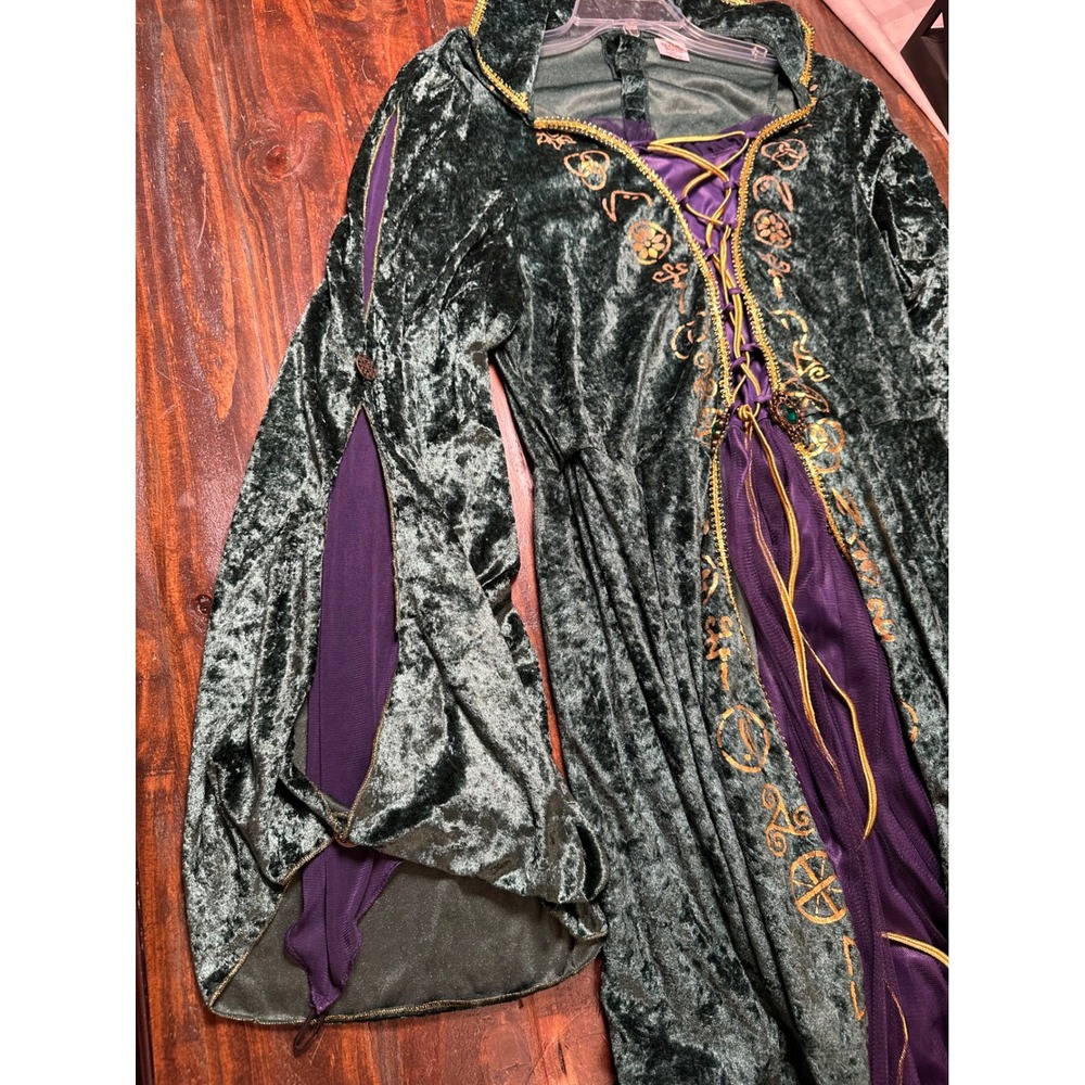 Disney Hocus Pocus Winifred Sanderson Costume Green Velvet Dress Plus 1X Spirit - Picture 9 of 14